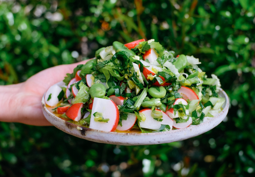 Recipe: Make Friends With Very Good Falafel’s Fresh and Crunchy Celery, Mint and Broad Bean Salad
